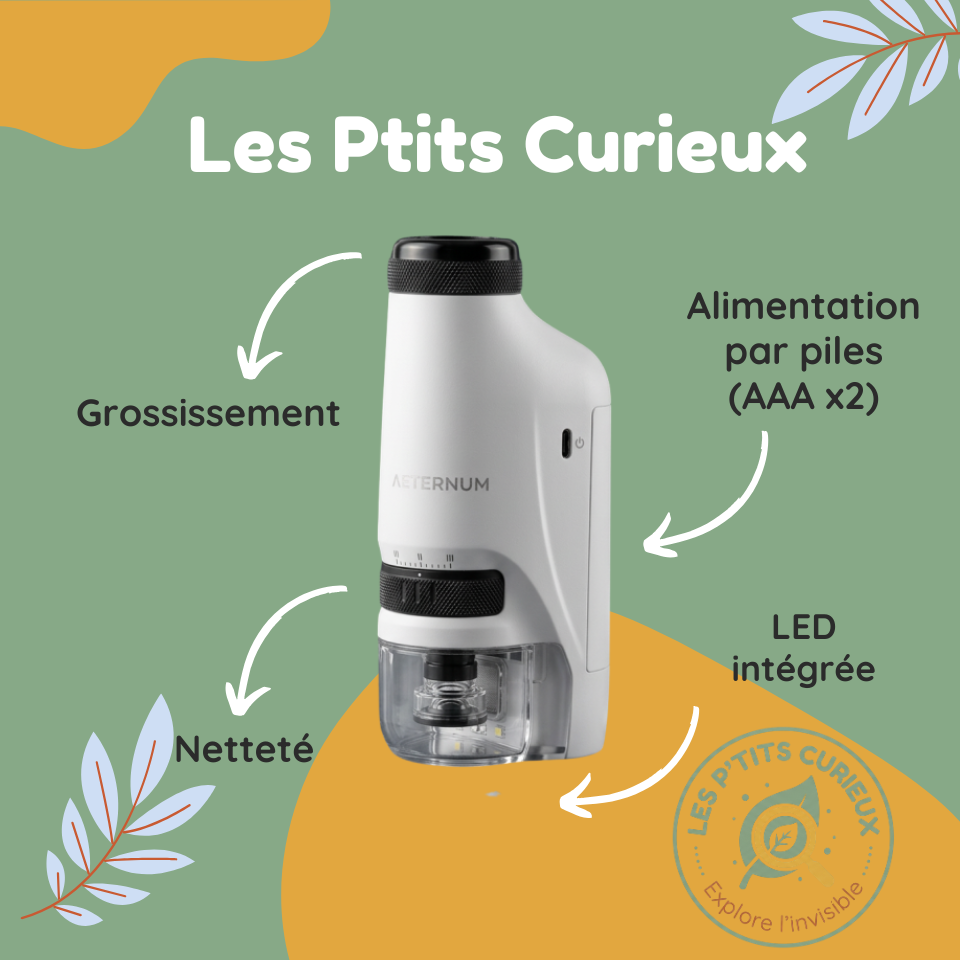 Microscope Portable